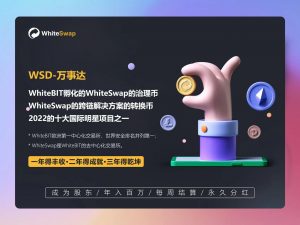 WhiteBIT战略投资WhiteSwap 500万美金, 深化打造跨链去中心化交易所-链动未来